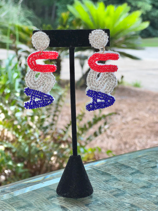 USA Earrings